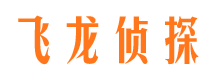 岗巴侦探公司